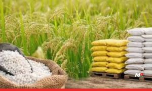 Union Cabinet has approved the Nutrient-Based Subsidy (NBS) rates for phosphatic and potassic fertilizers for the Kharif season 2026 (April 1, 2026 – September 30, 2026)
